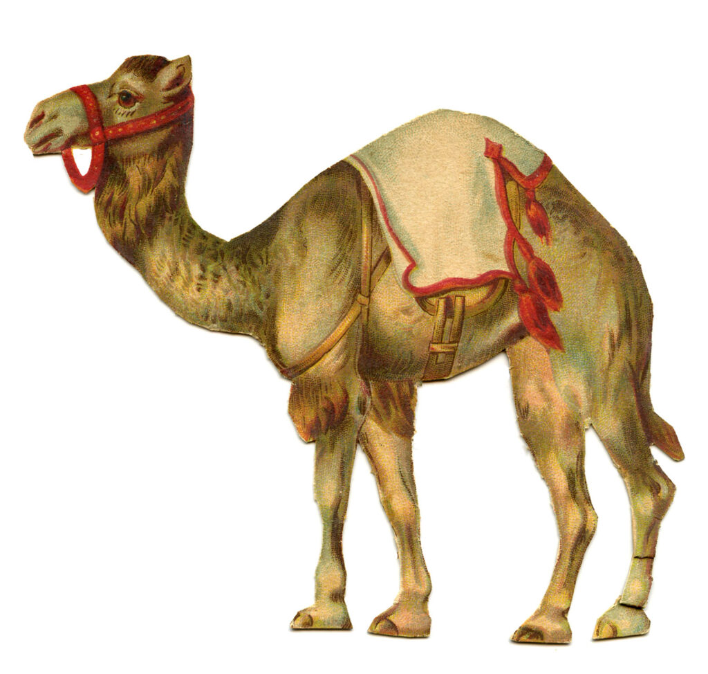 circus camel vintage clipart