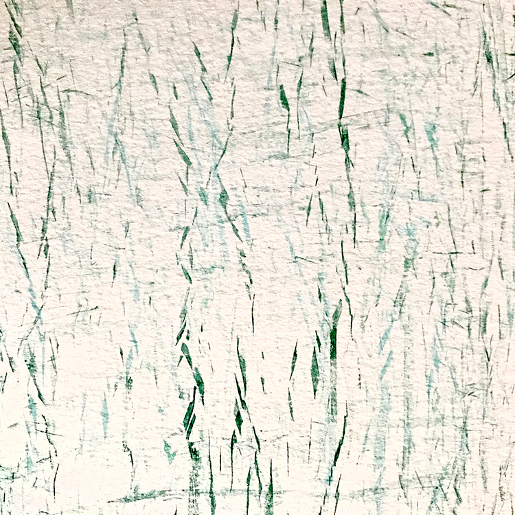 green lines on paper