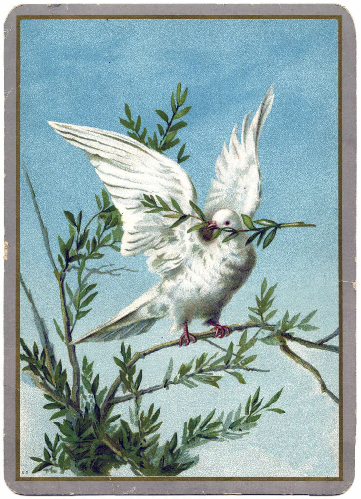 dove christmas sprig illustration