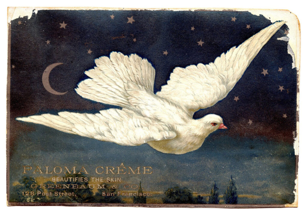 dove moon night sky advertising illustration