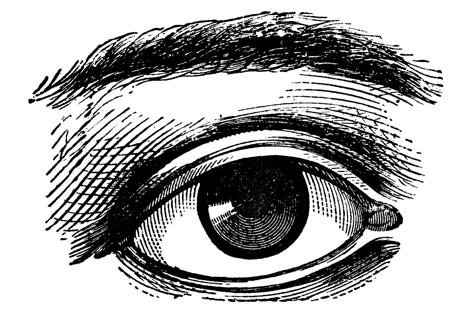 eye graphic clipart