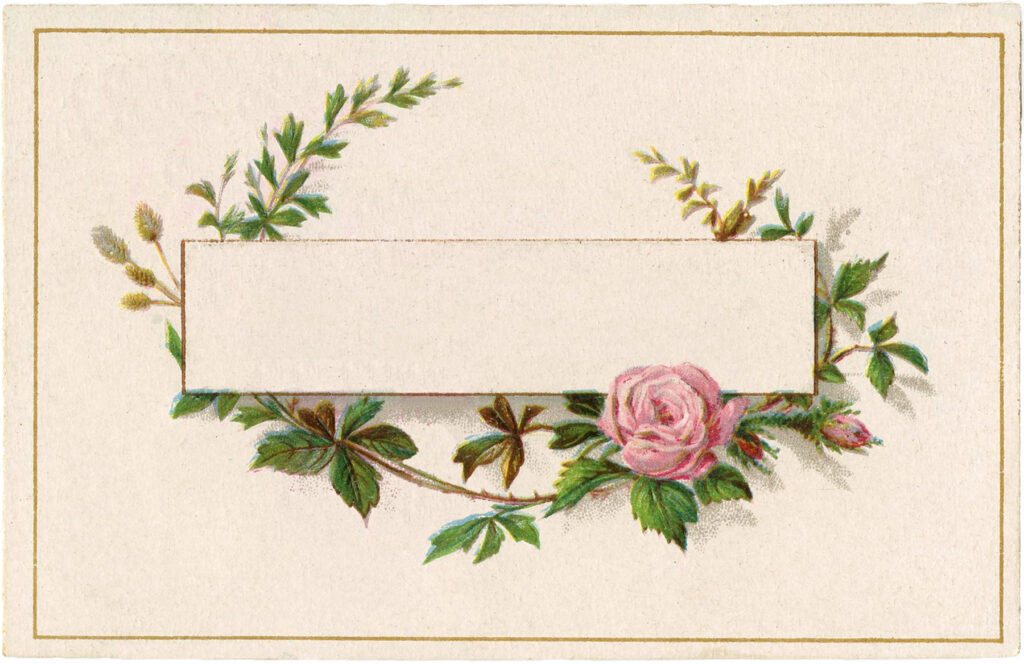 french pink roses label image