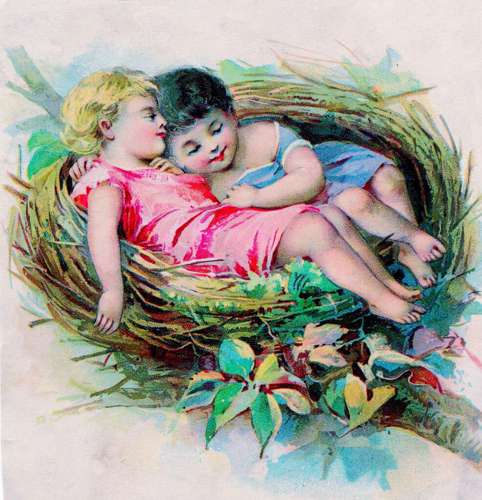 children sleeping nest image