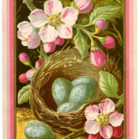 nest blue eggs pink flowers image