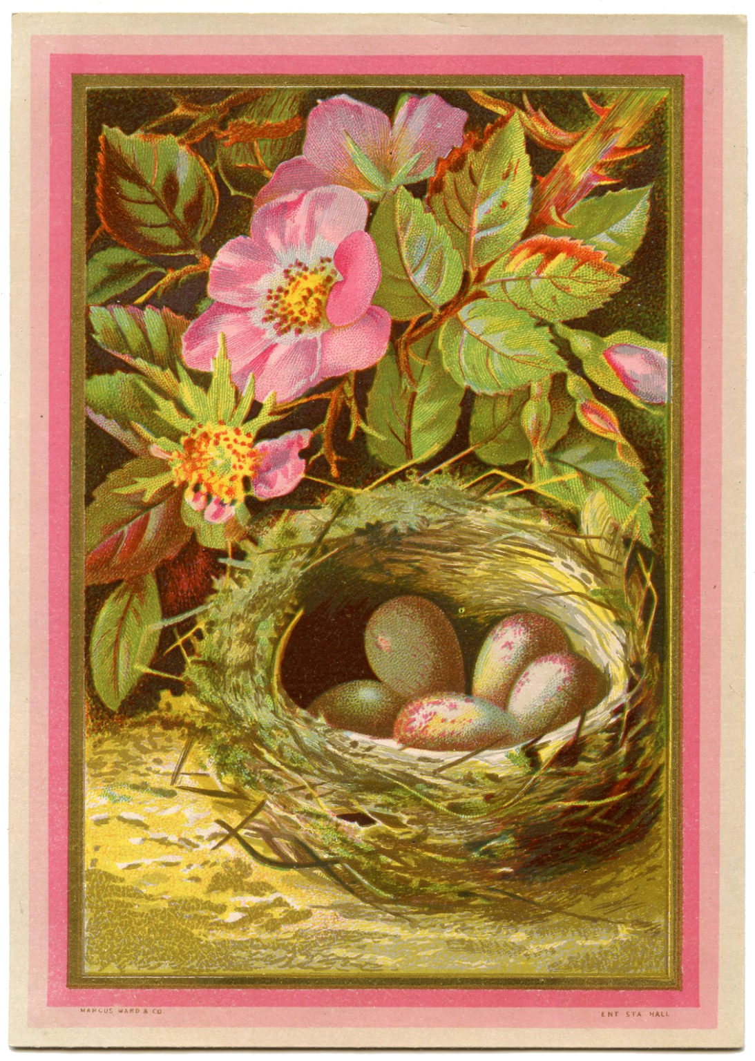 11 Bird Nests with Flowers Images! - The Graphics Fairy
