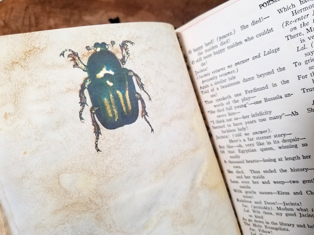 beetle junk journal page