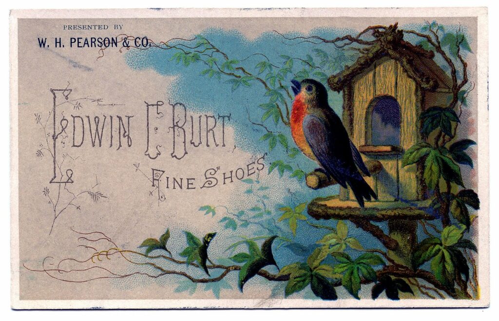 robin Clipart with bird house