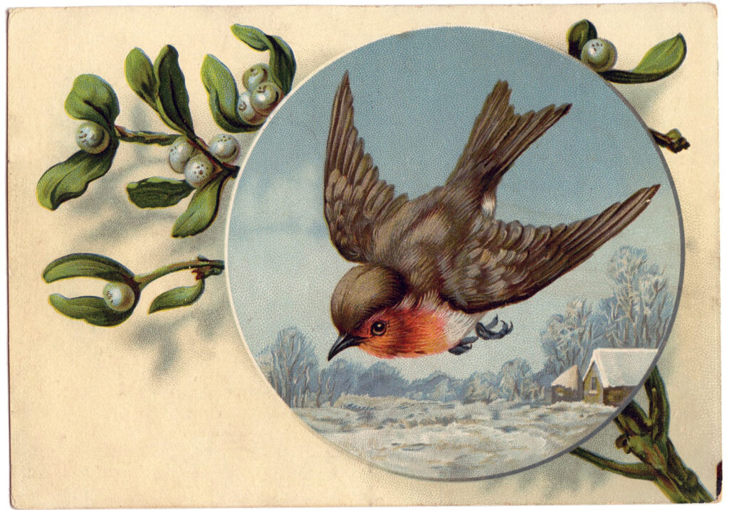 robin flying winter bird image