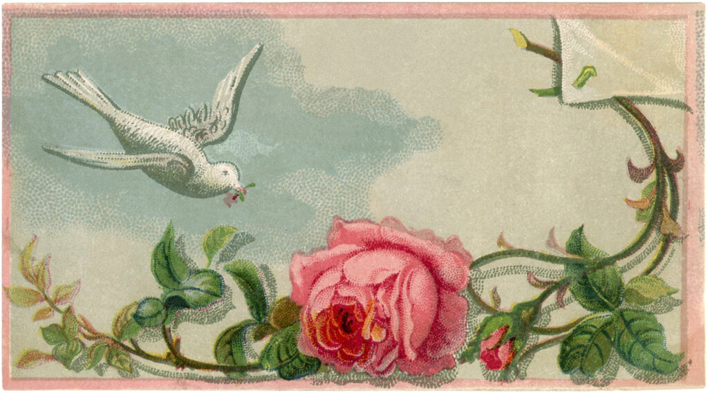 vintage white bird with rose image