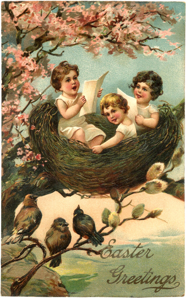 children playing nest birds illustration