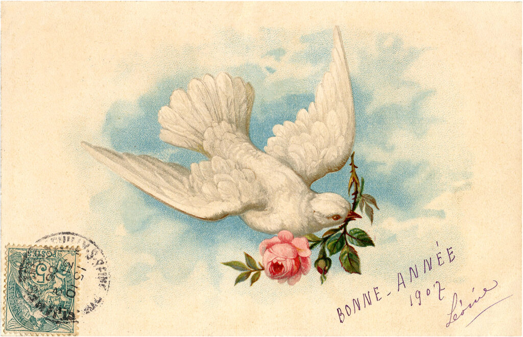 vintage french card with dove and rose 