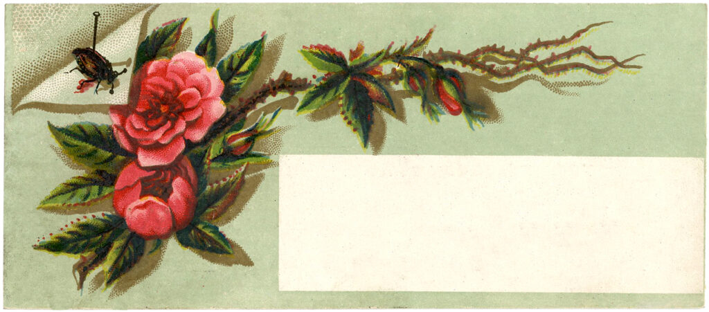 vintage roses label illustration