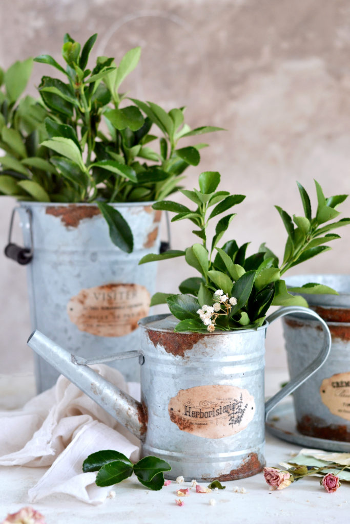 DIY Rust Zinc Pots Technique