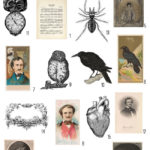 vintage poe's halloween ephemera digital image bundle