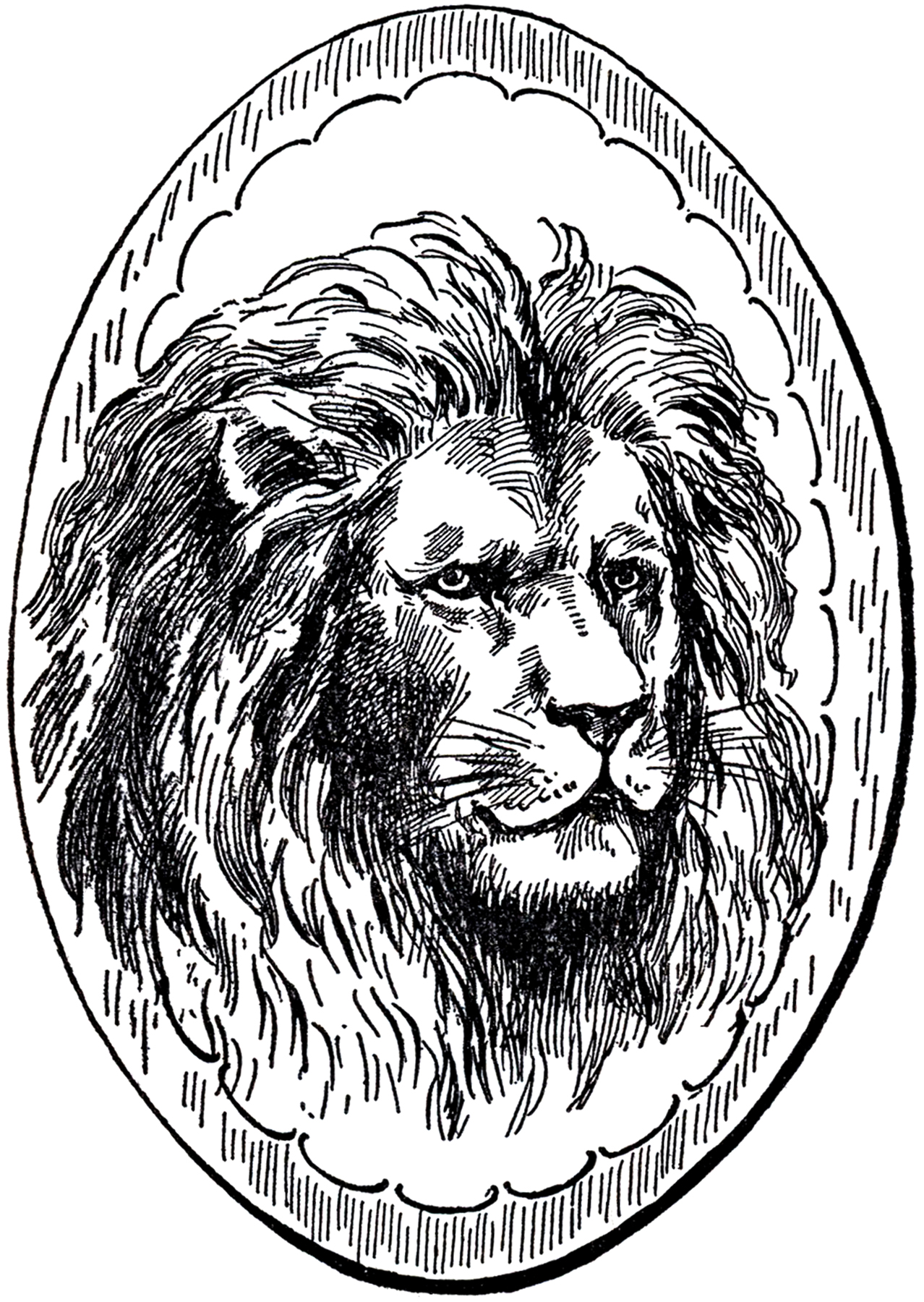 Lion Clipart Framed