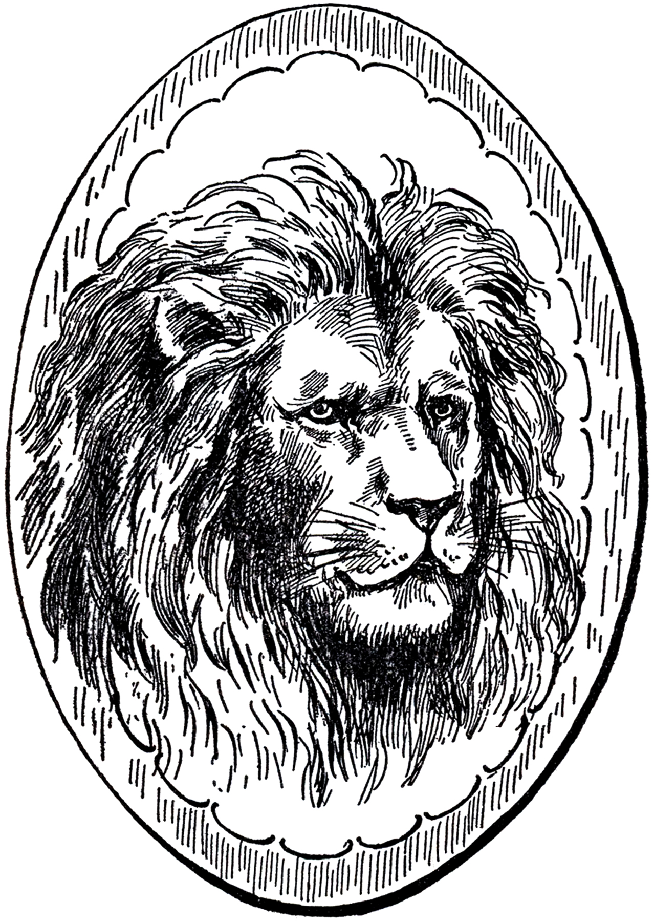 winter sports clipart black and white lion