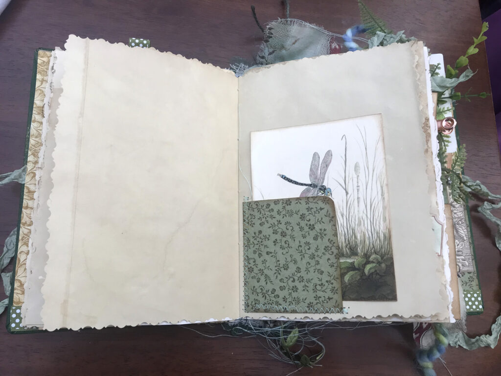 secret garden journal pocket dragonfly print