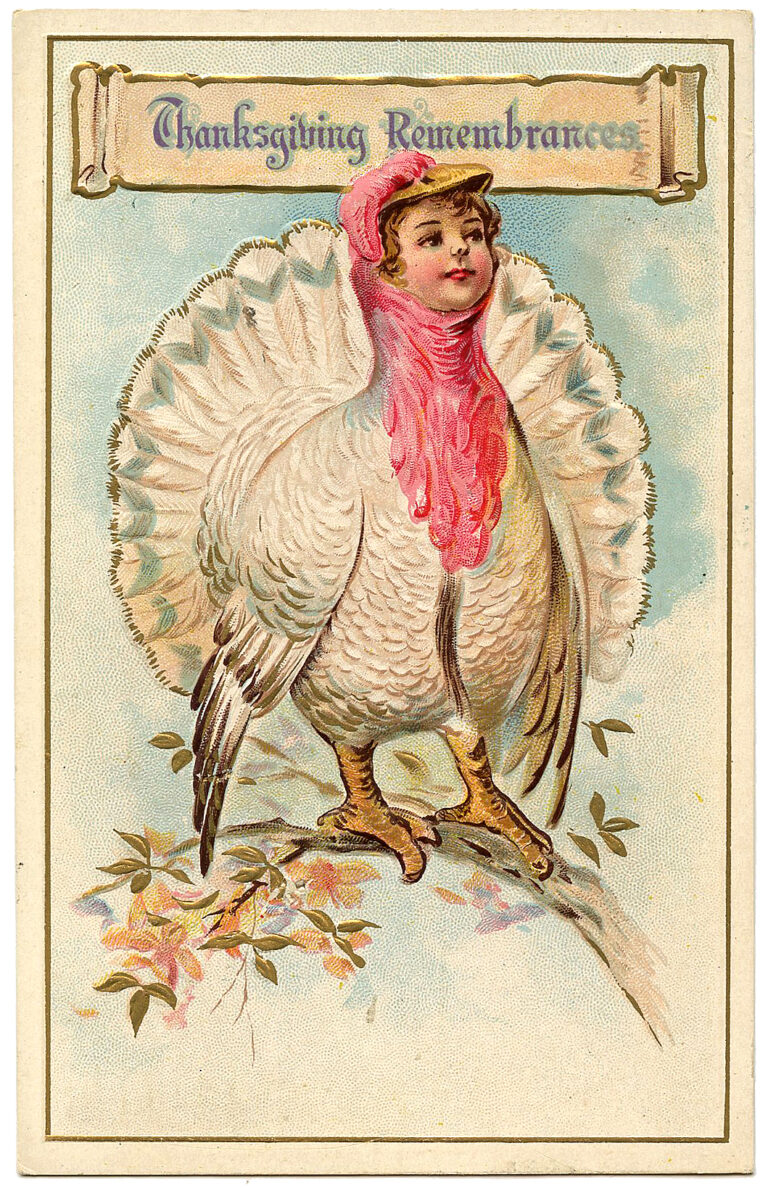 8 White Turkey Images - Vintage Thanksgiving! - The Graphics Fairy