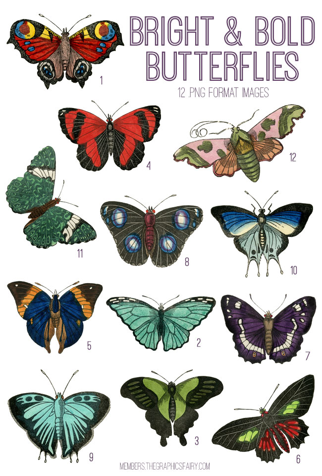 vintage bright & bold butterflies ephemera digital image bundle