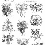 vintage French floral engravings ephemera digital image bundle