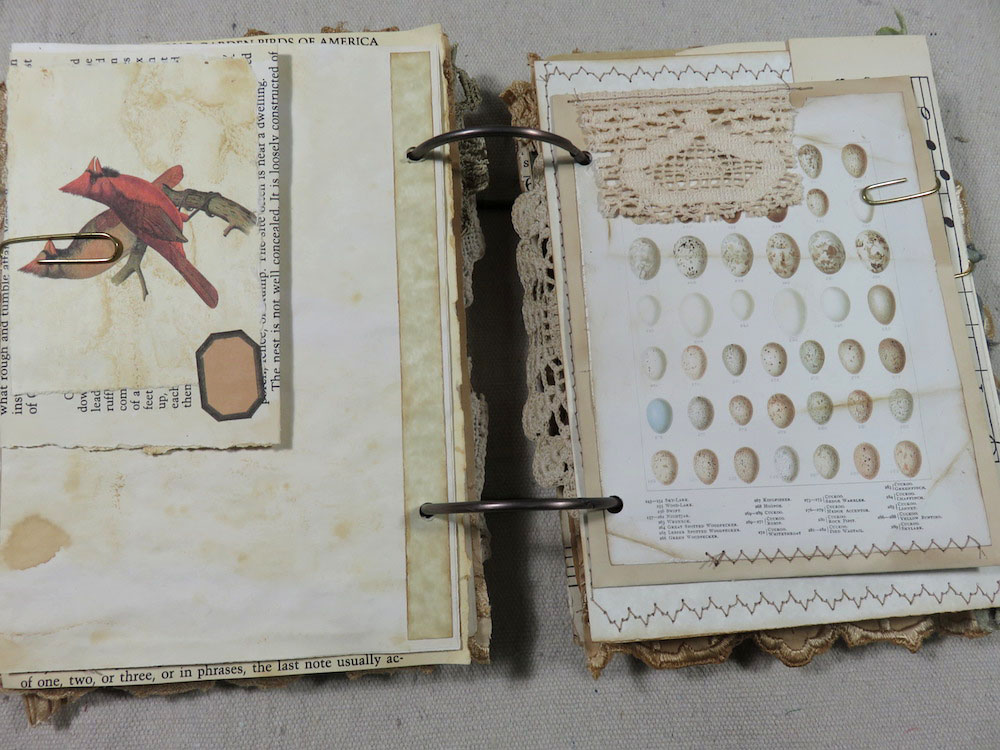 bird and egg neutral colored journal pages