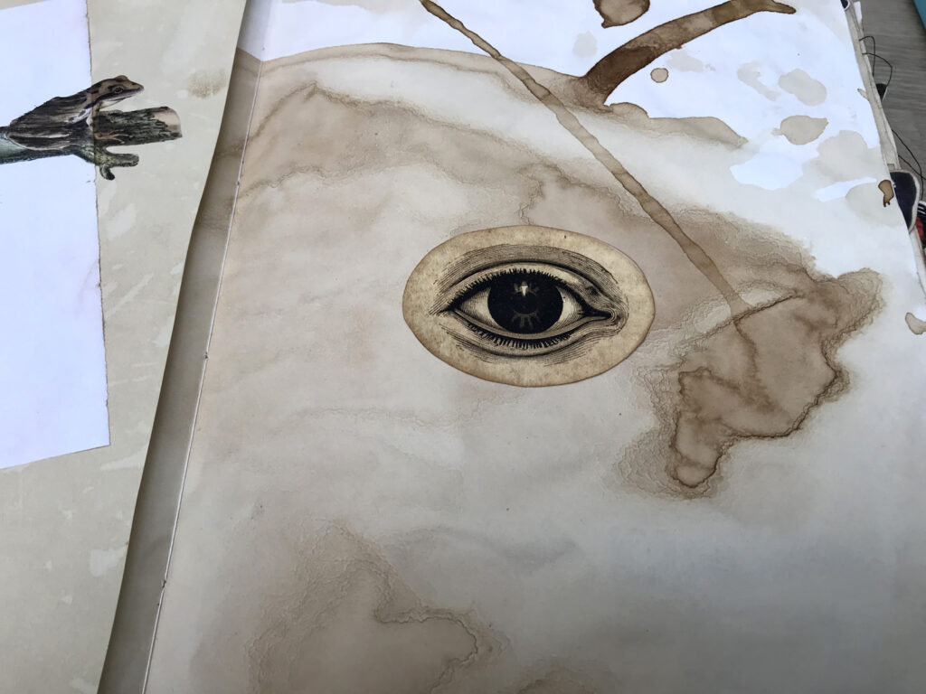 tea dyed page eyeball image