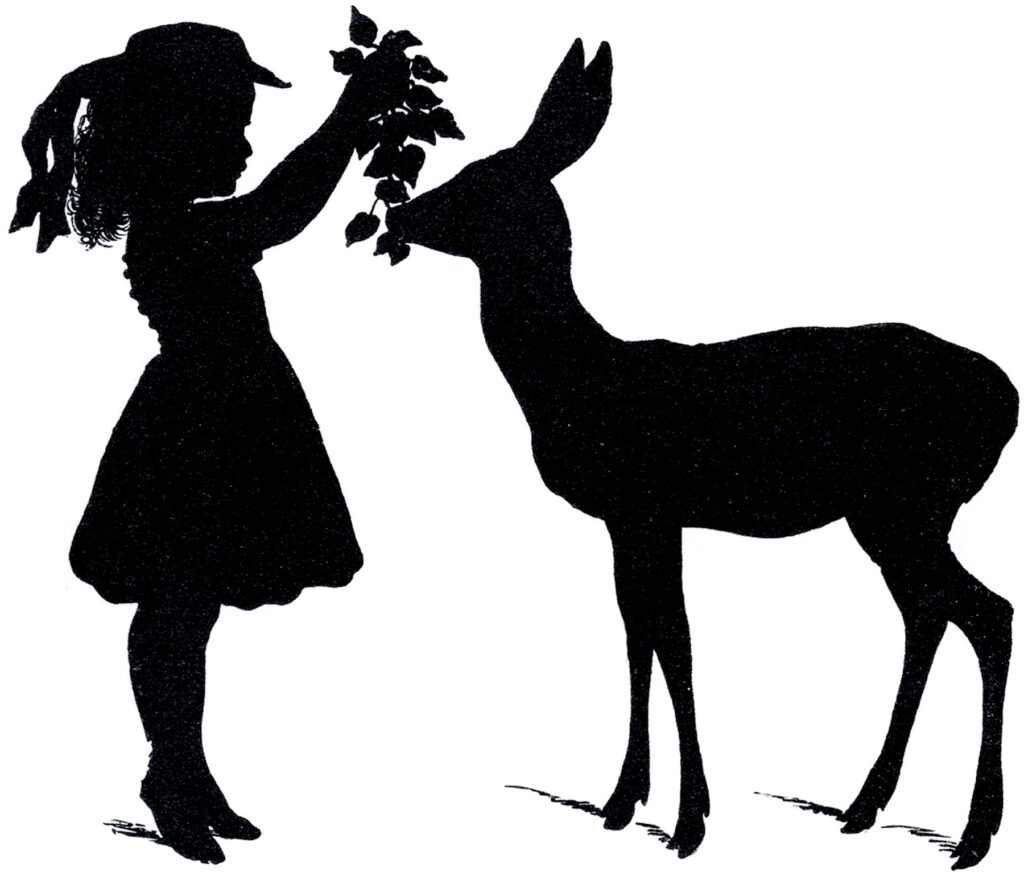 girl feeding deer silhouette image