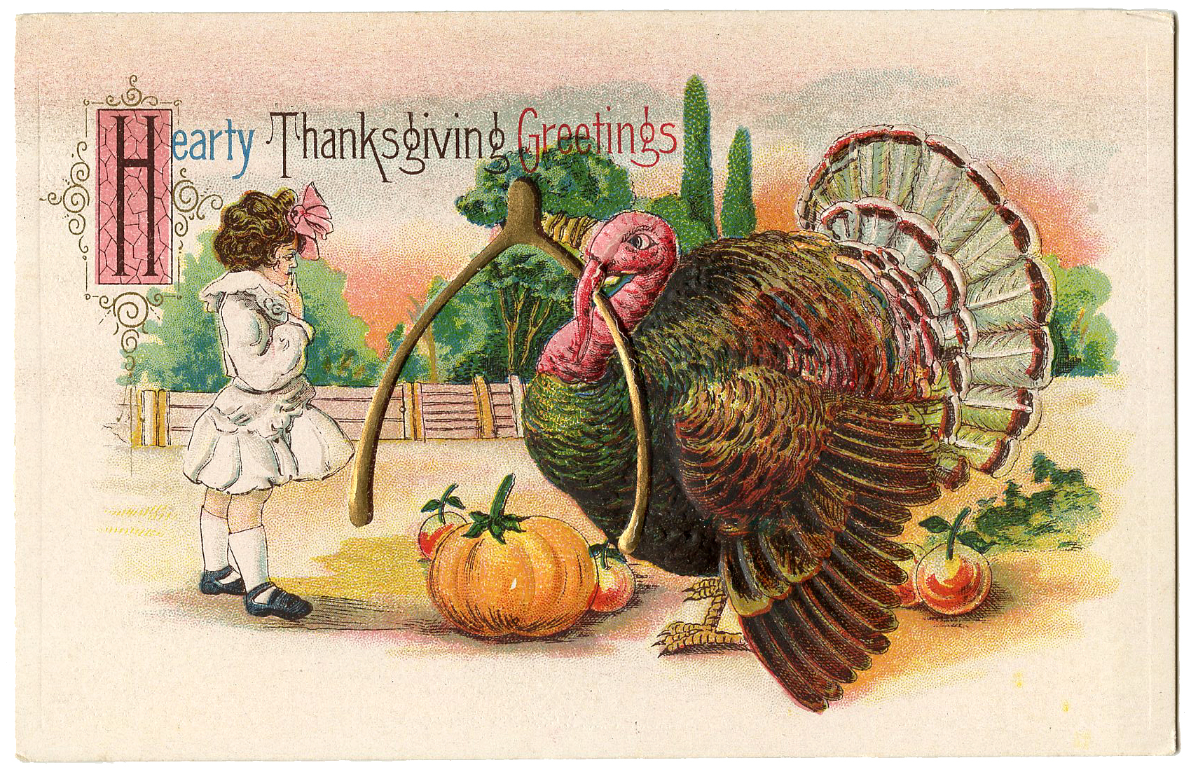 Thanksgiving Turkey Wishbone Girl