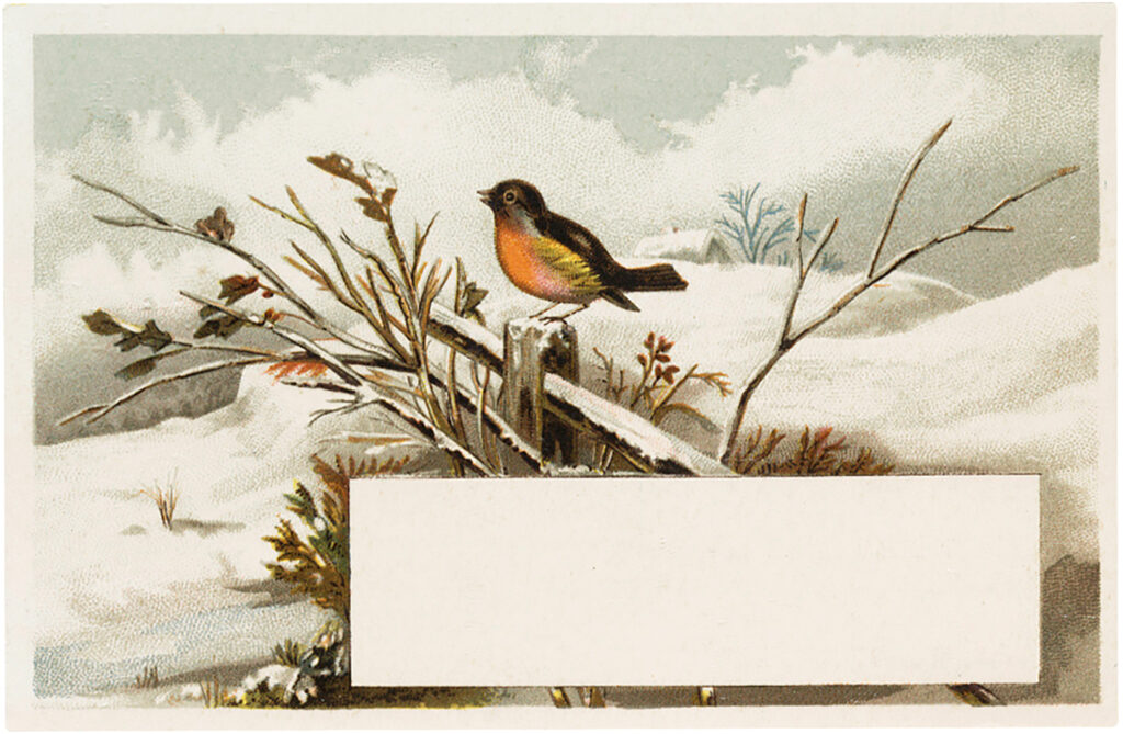 vintage winter bird label image