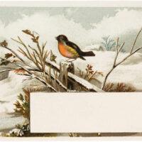 vintage winter bird label image