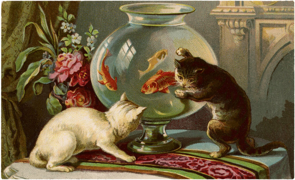 curious cats with goldfish bowl image