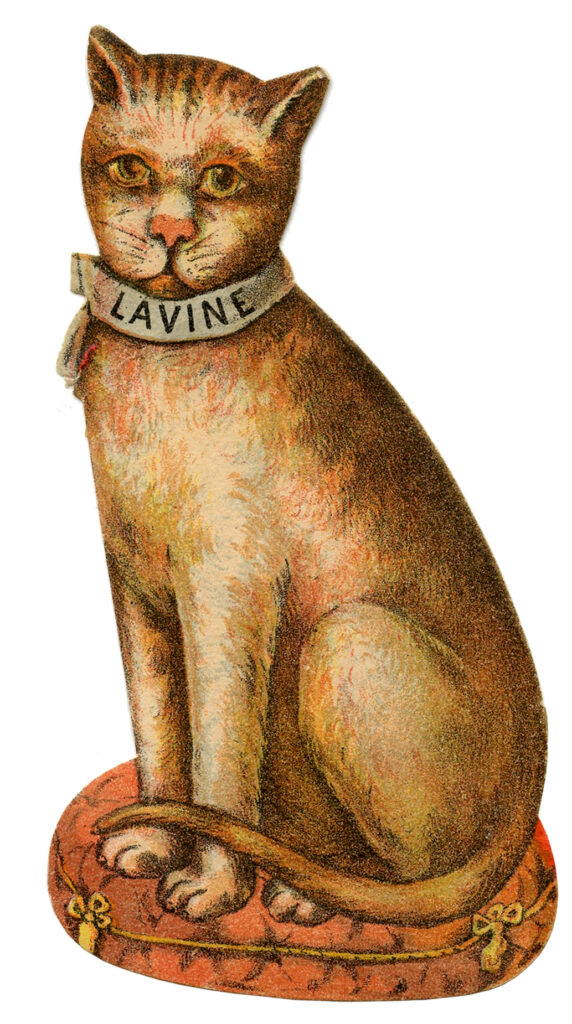 Orange Tabby vintage advertising clipart