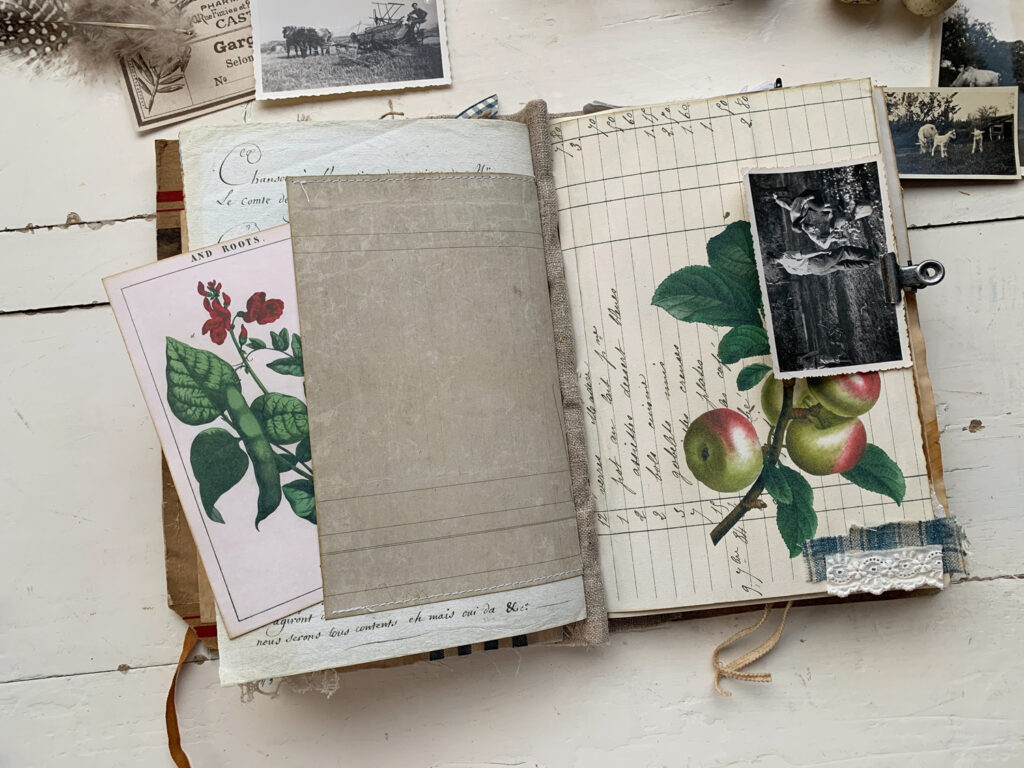 apple botanical image journal page