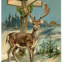 Merry Christmas Deer Image