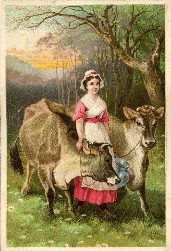 milkmaid cows image