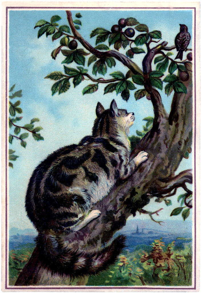 vintage Tabby cat in tree image