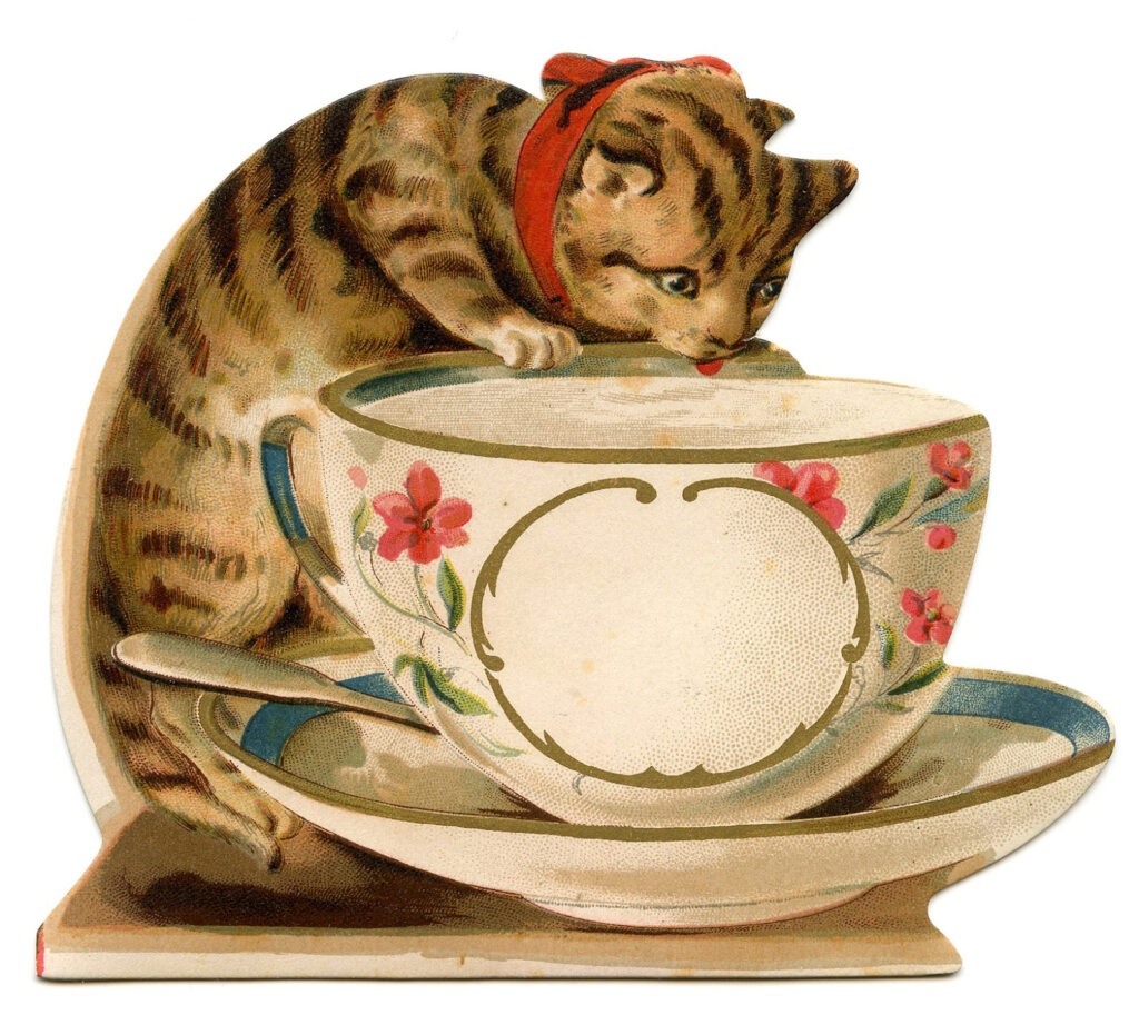 tabby cat with tea cup clipart