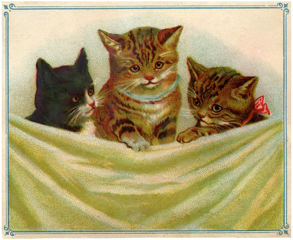 vintage kitties image