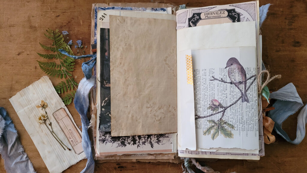 bird journal page