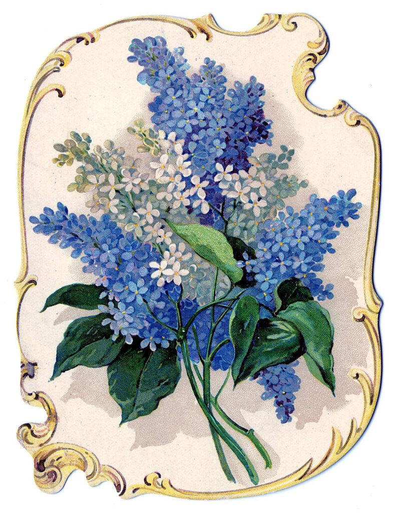 lilac flowers vintage frame image