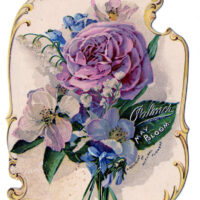 flowers lavender rose bouquet illustration