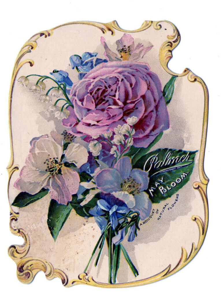 flowers lavender rose bouquet illustration