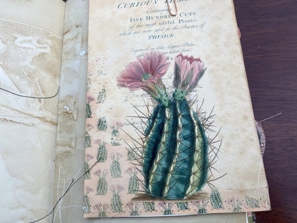 cactus folder journal page
