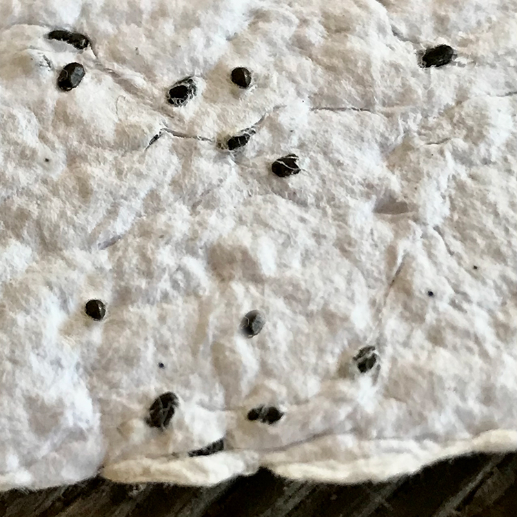 How to Make seed paper recipe