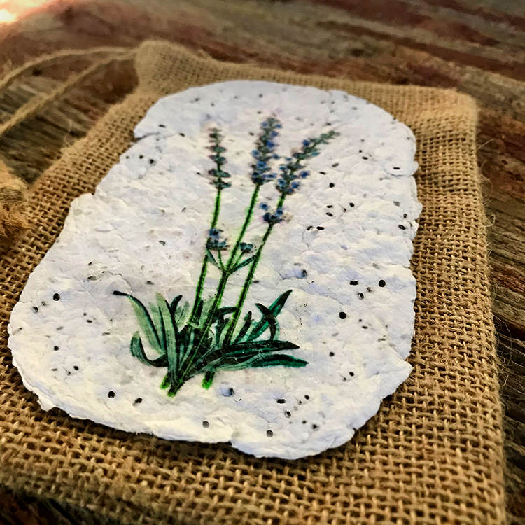 Homemade Plantable Seed Paper - Crafts by Amanda