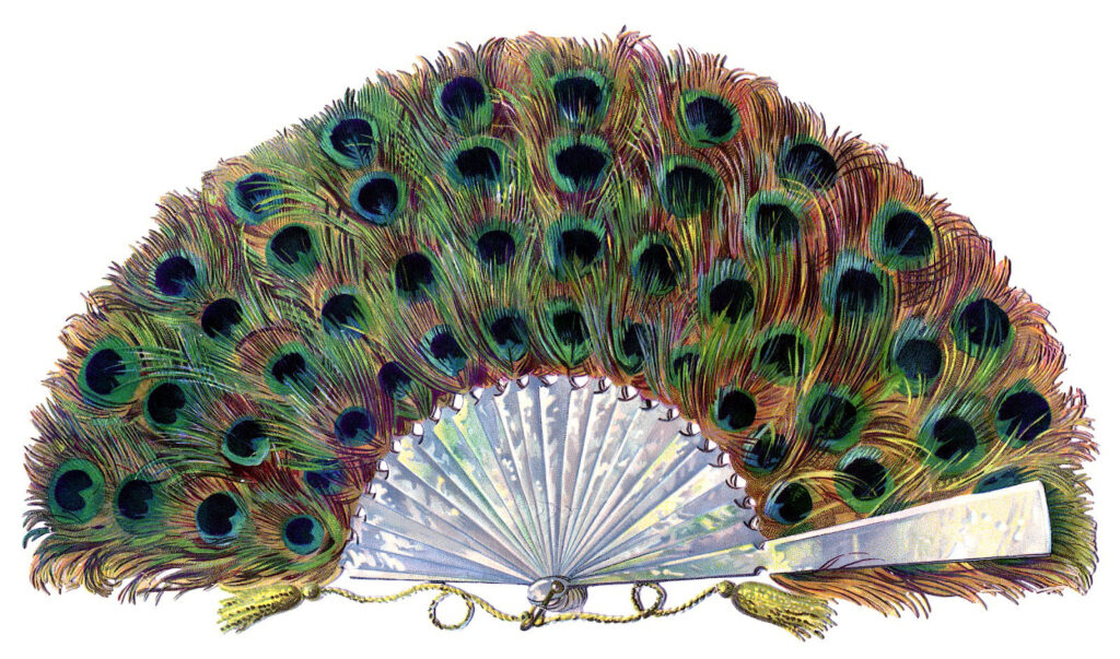 vintage peacock feather fan image