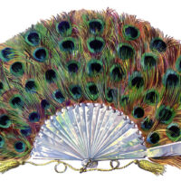 vintage peacock feather fan image
