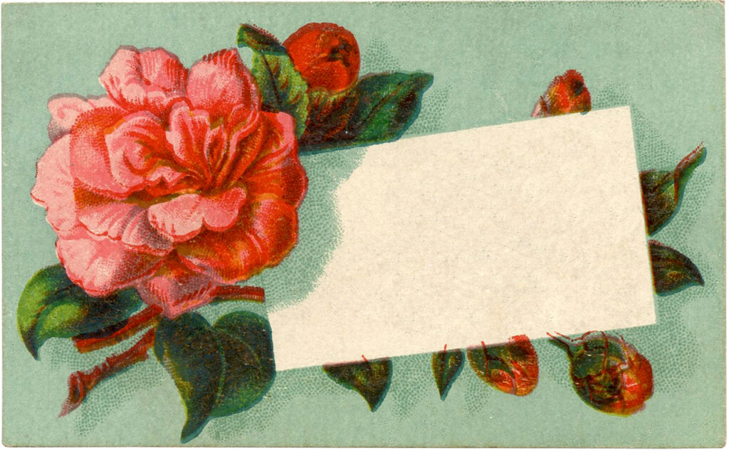 Floral Calling Card Image