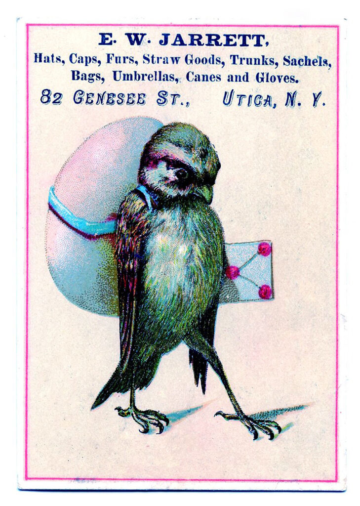 funny bird backpack vintage illustration