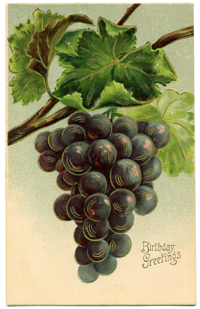 Happy Birthday Grapes Image